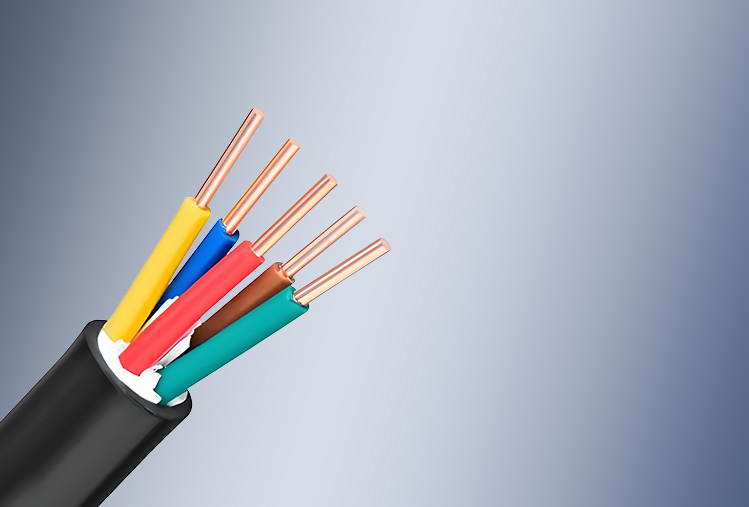 Polyvinyl Chloride (PVC) Insulated & Sheathed Control Cable