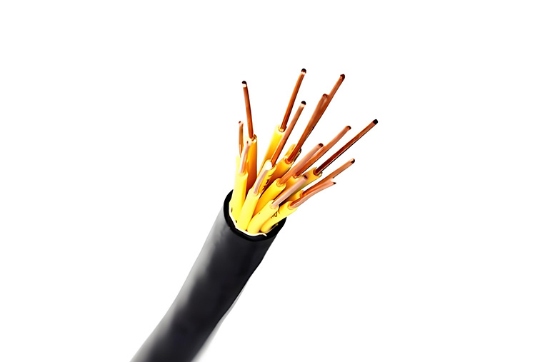 Polyvinyl Chloride (PVC) Insulated & Sheathed Control Cable