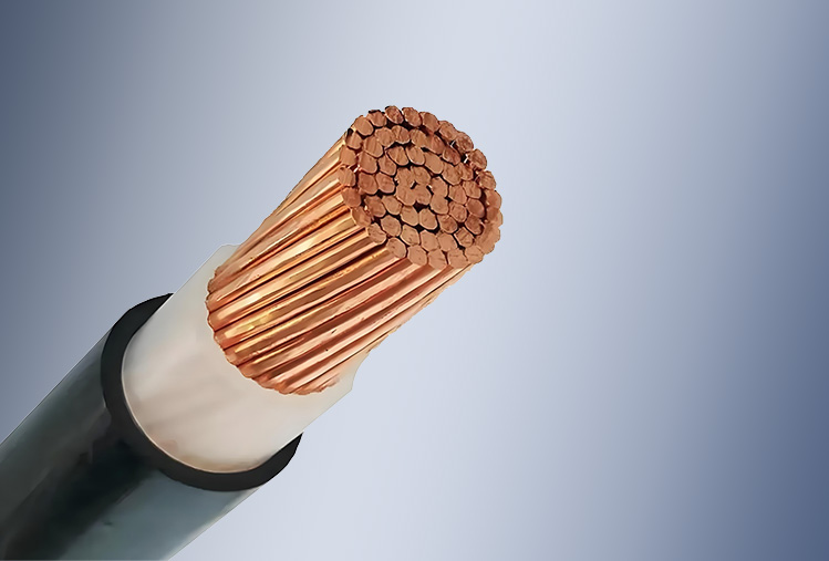 XLPE Insulated PVC Sheathed Power Cable