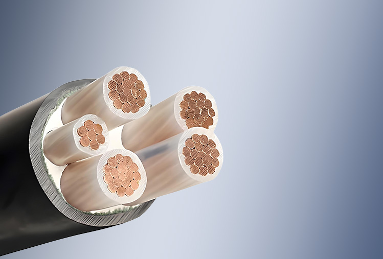 XLPE Insulated PVC Sheathed Power Cable