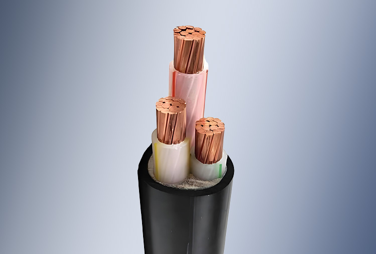 XLPE Insulated PVC Sheathed Power Cable