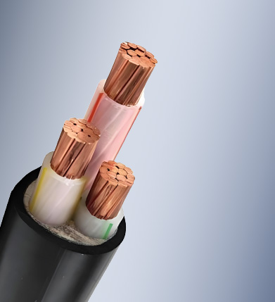 XLPE Insulated PVC Sheathed Power Cable