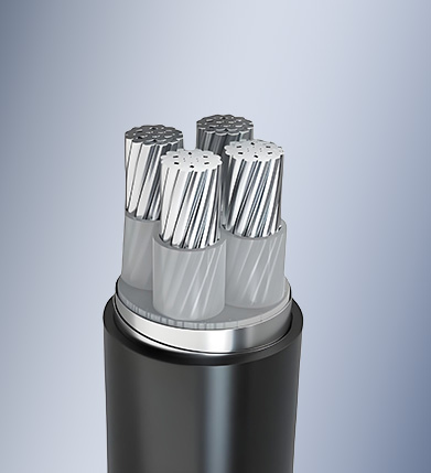 AAC/AAAC – XLPE – SWA – PVC Steel Wire Armored PVC Sheathed Aluminium Alloy Cable